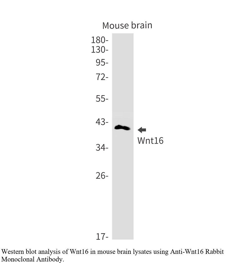 生物相关数据