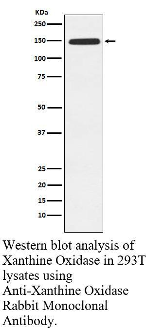 生物相关数据