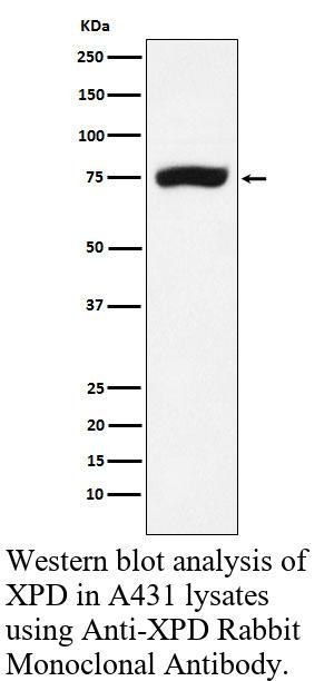 生物相关数据