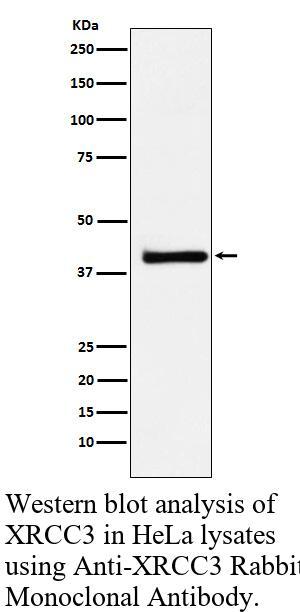 生物相关数据