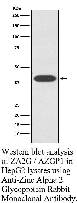 生物相关数据