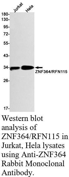 生物相关数据