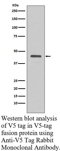 生物相关数据