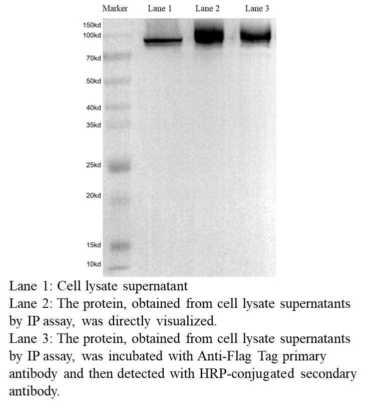 生物相关数据
