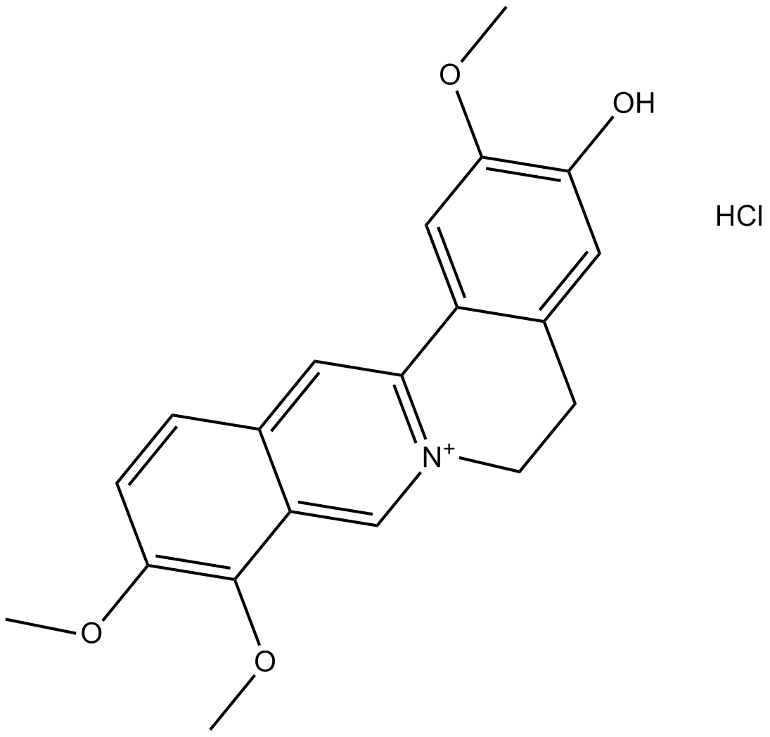Jatrorrhizine Hydrochloride