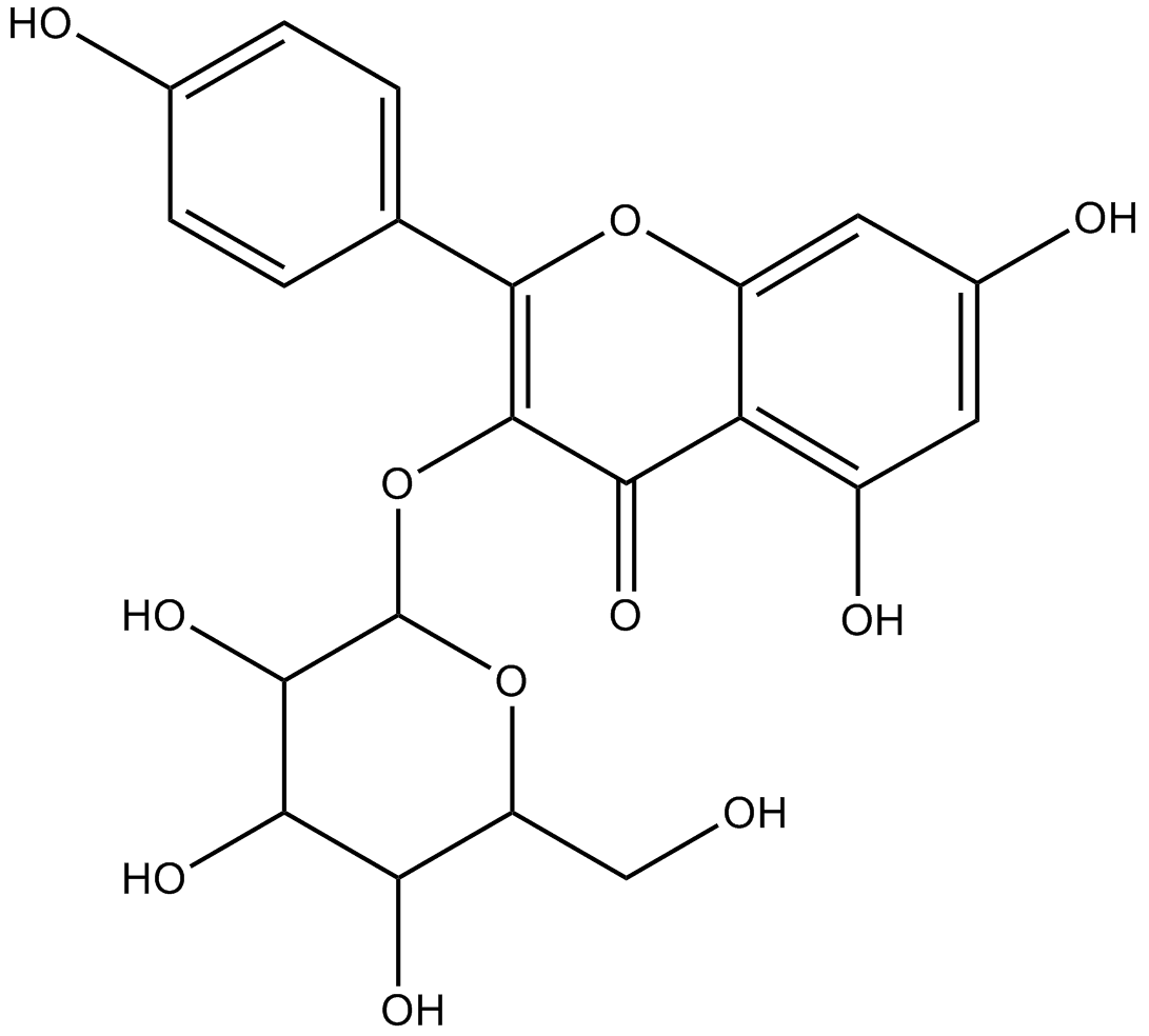 astragalin