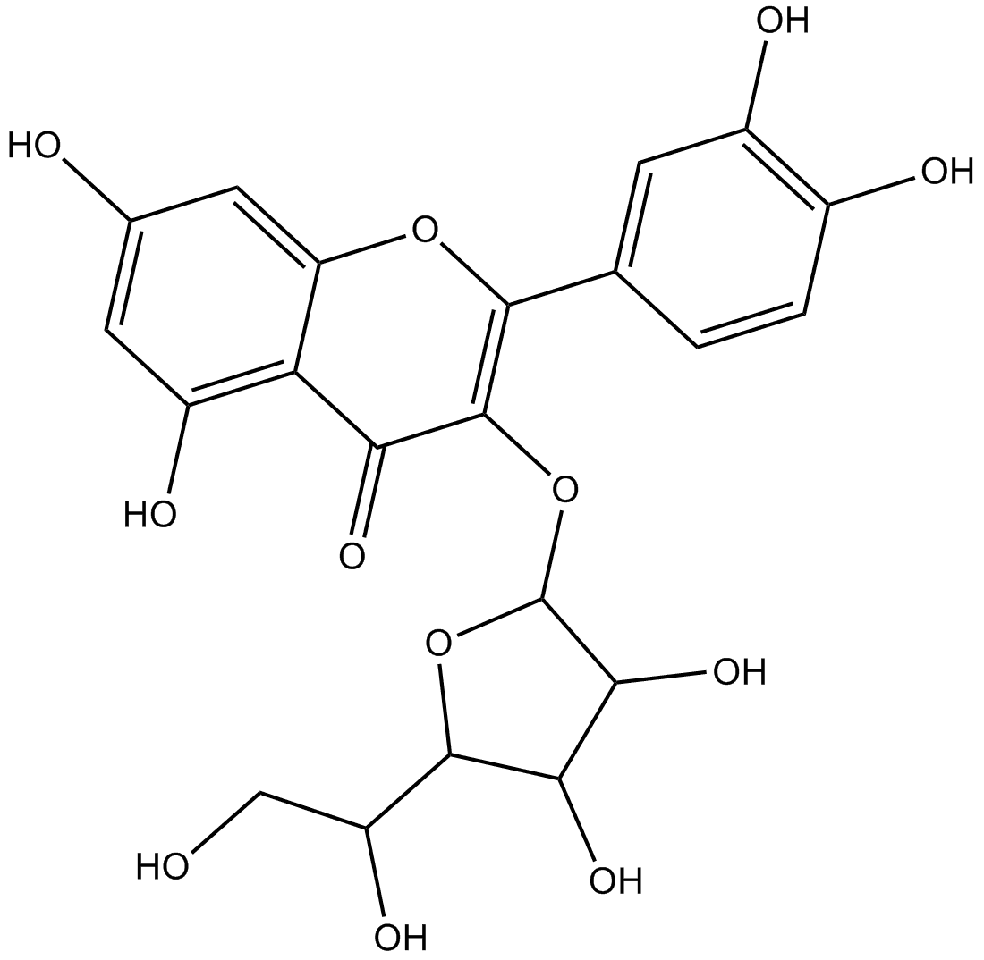 Isoquercitrin