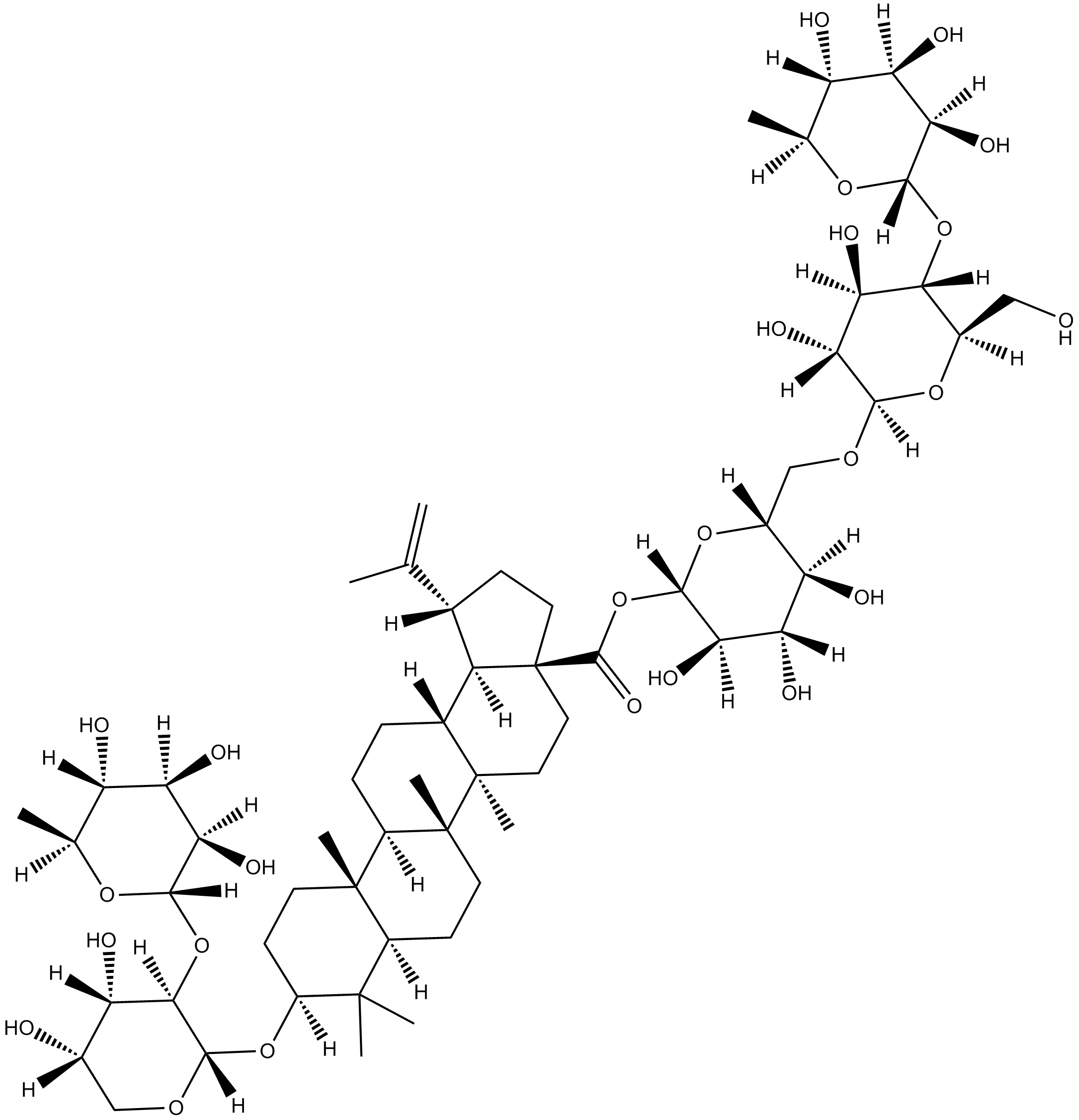 Cussosaponin C