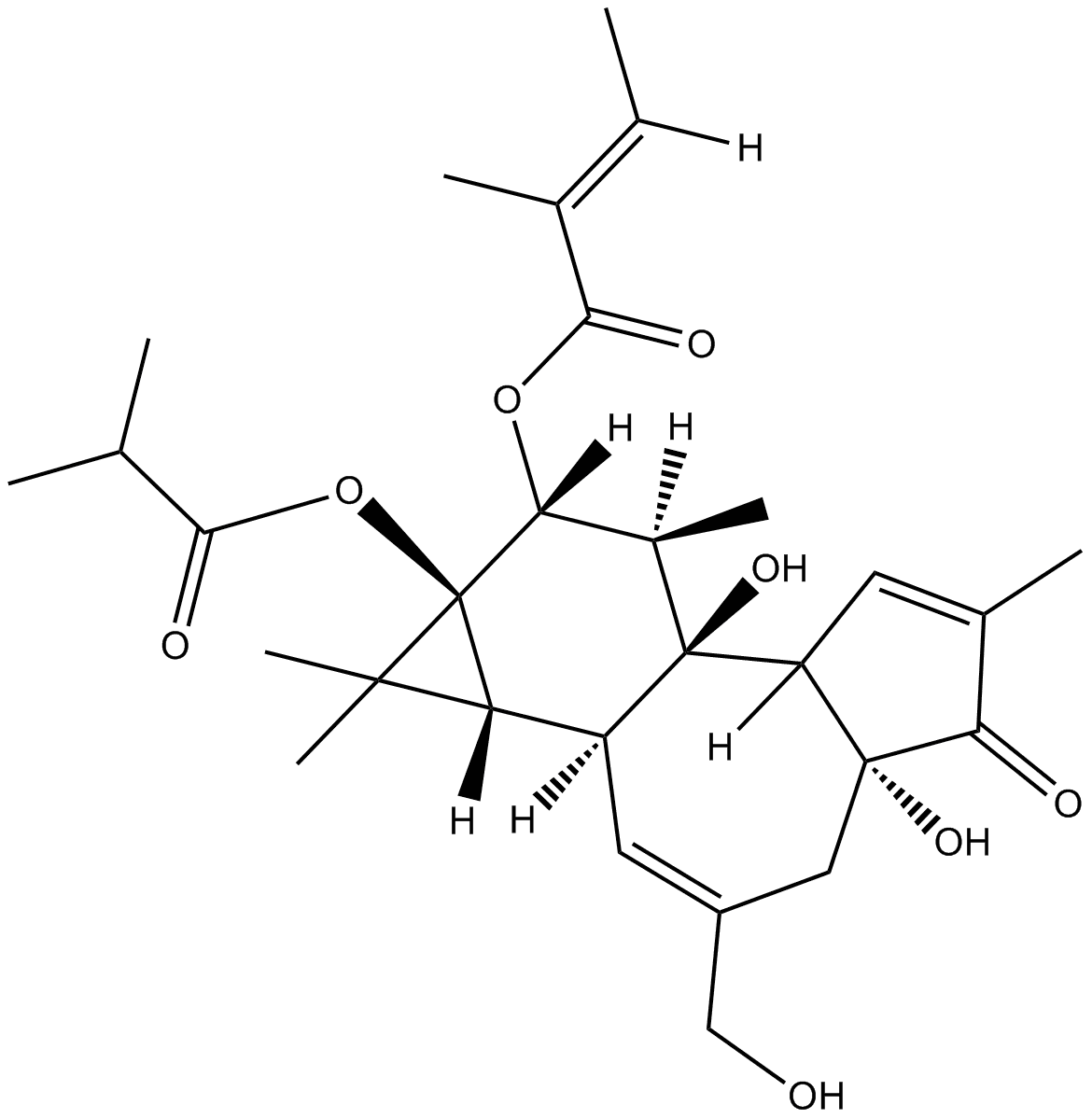 12-O-Tiglylphorbol-13 –isobutyrate