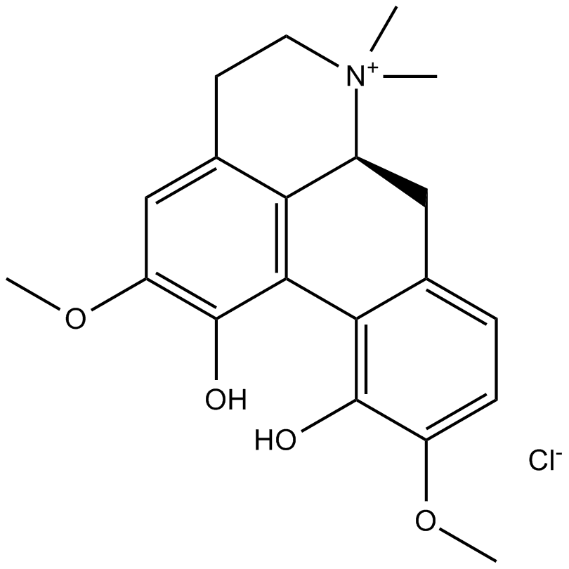 Magnoflorine chloride