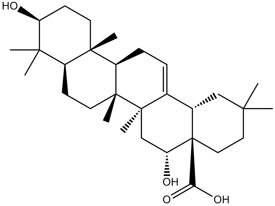 Echinocystic acid