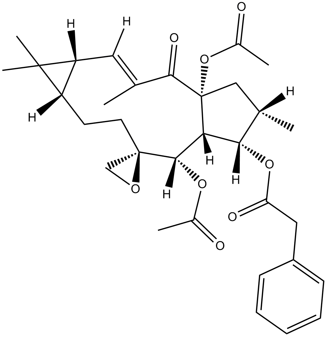 Euhorbiasteroid