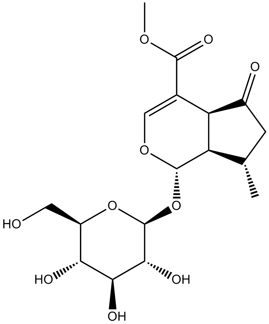 Verbenalinp