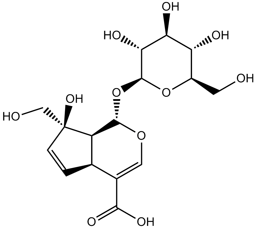 Monotropein