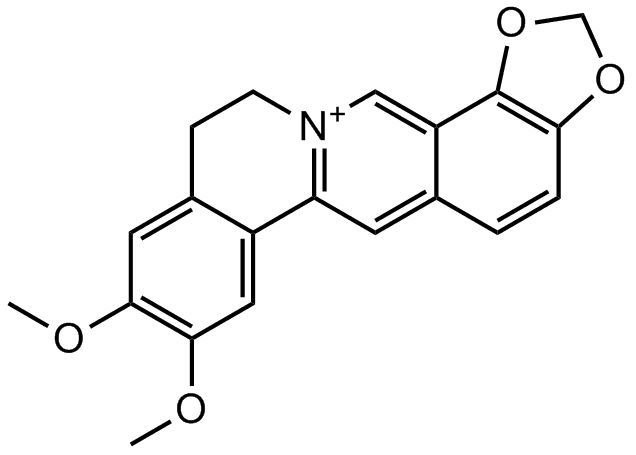 Epiberberine
