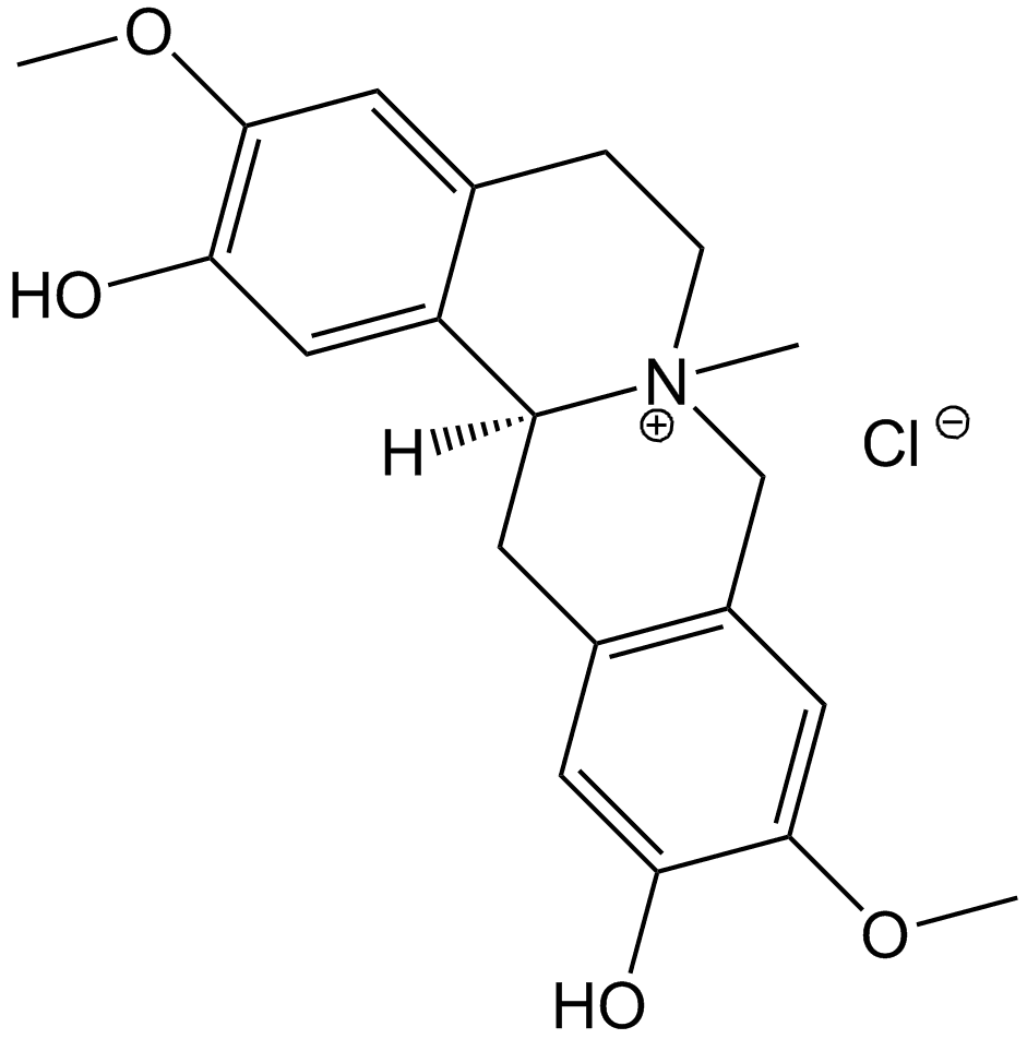 Phellodendrine chloride