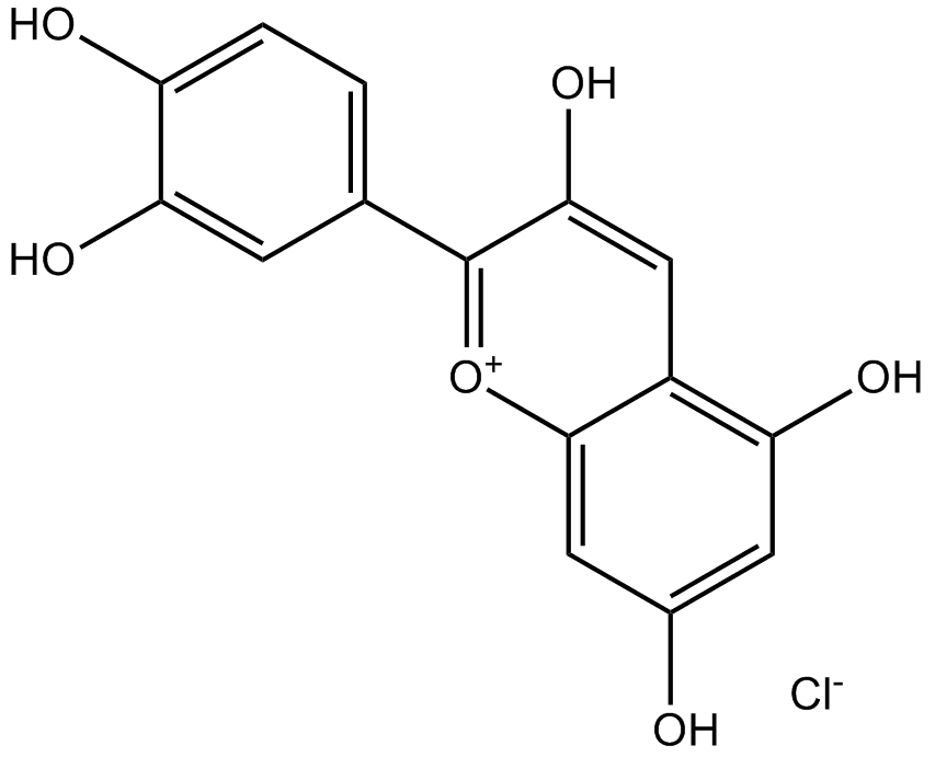Cyanidin Chloride