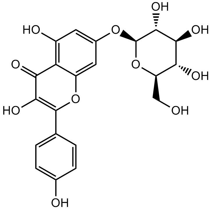 Kaempferol-7-O-β-D-glucopyranoside