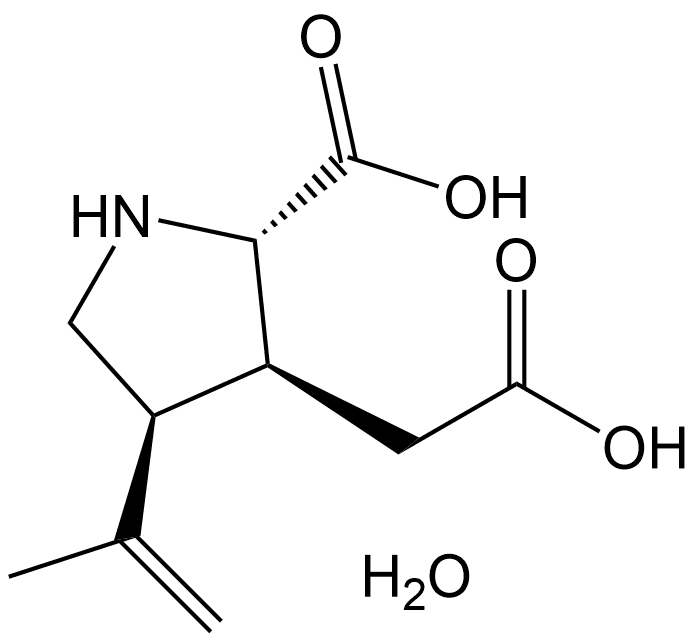Kainic acid monohydrate
