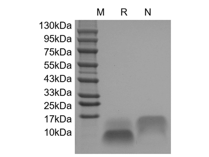 生物相关数据