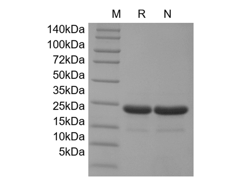 生物相关数据
