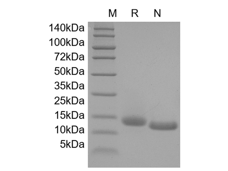 生物相关数据