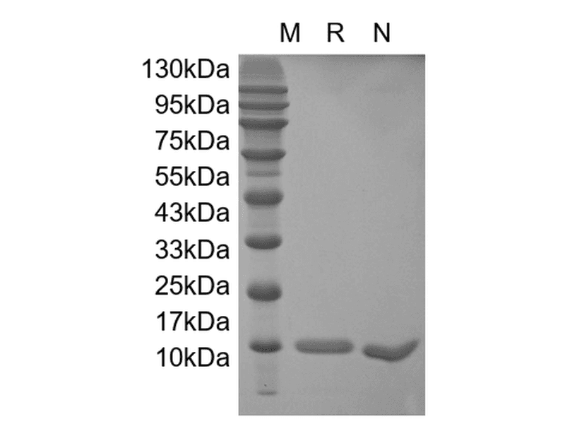 生物相关数据