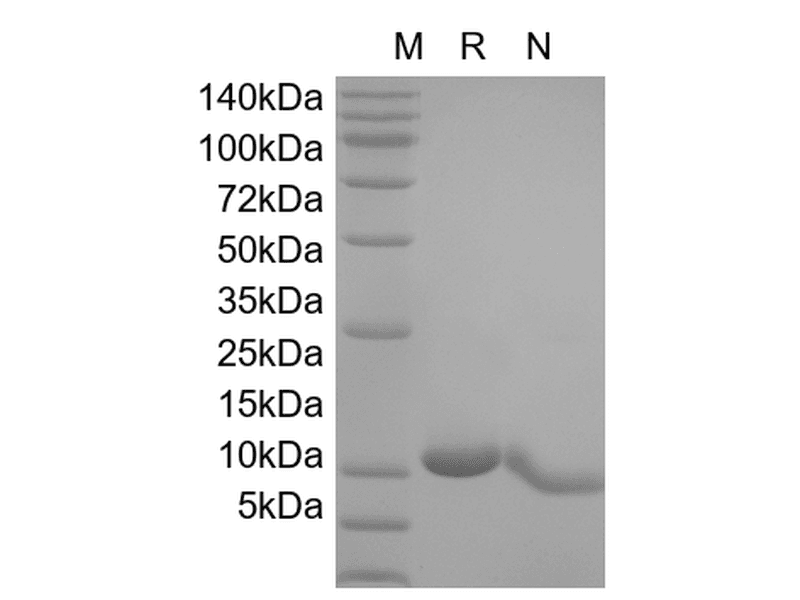 生物相关数据