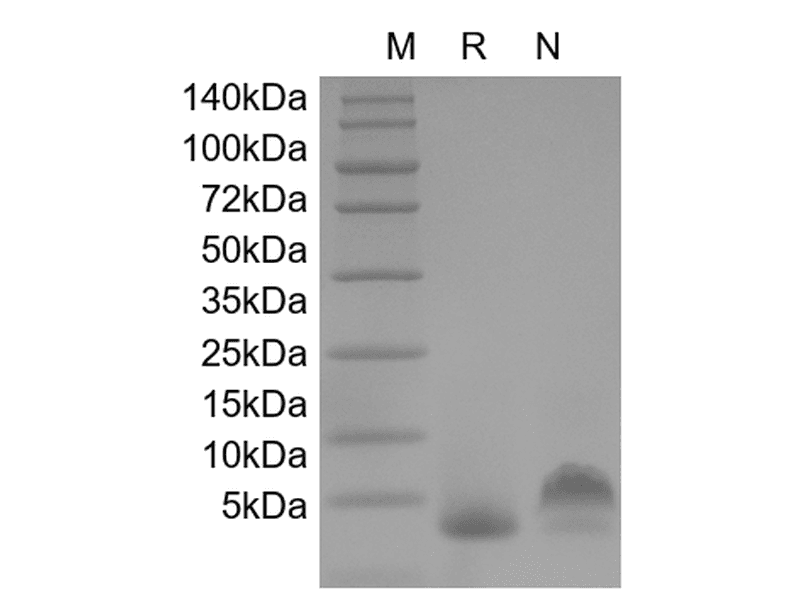 生物相关数据