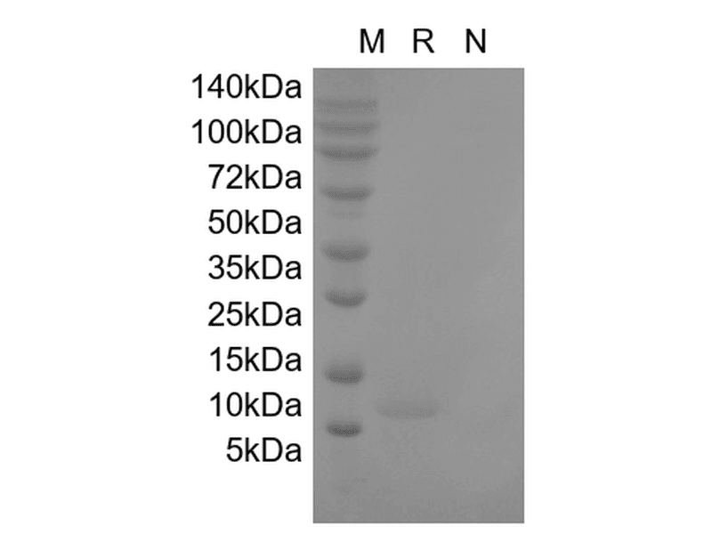 生物相关数据