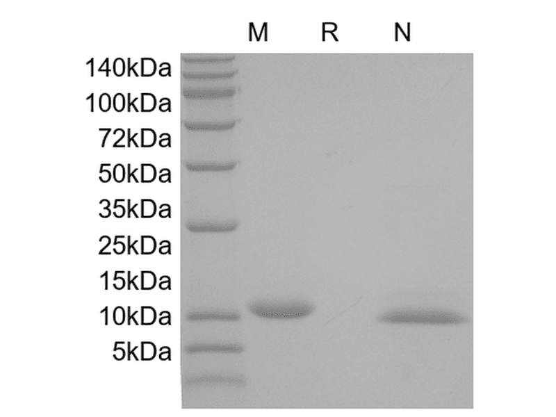 生物相关数据