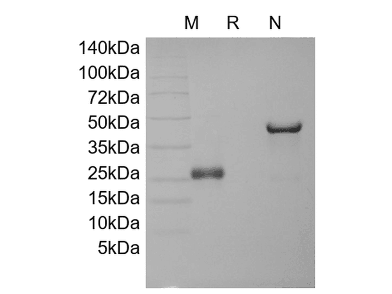 生物相关数据