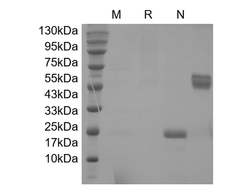 生物相关数据