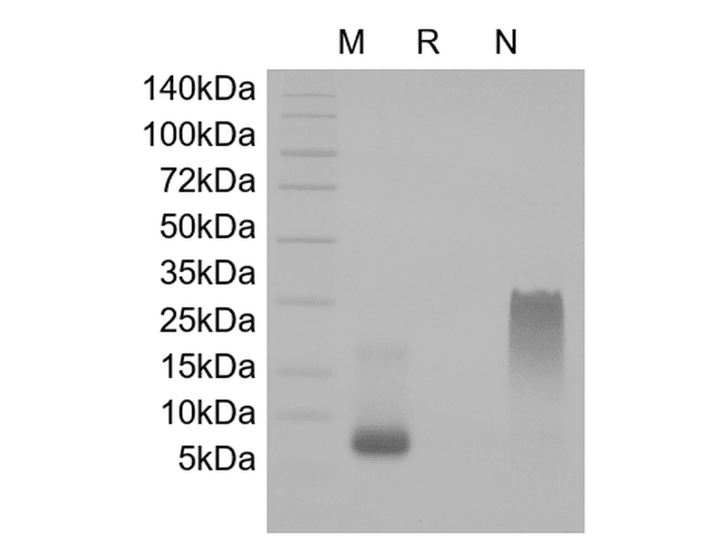 生物相关数据
