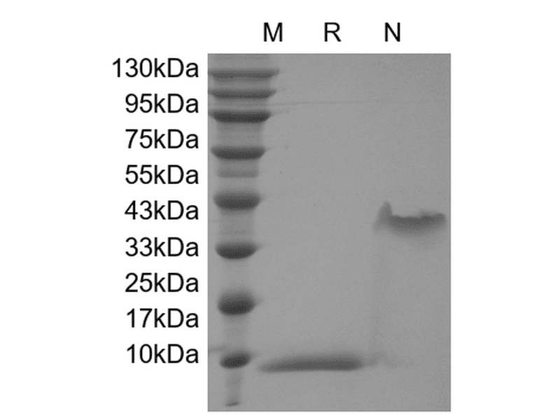 生物相关数据