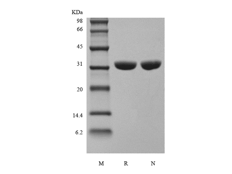 生物相关数据