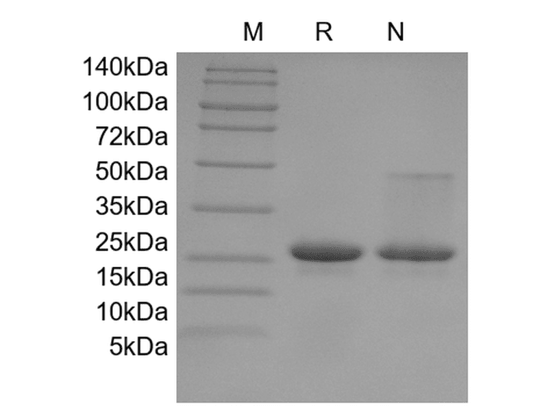 生物相关数据