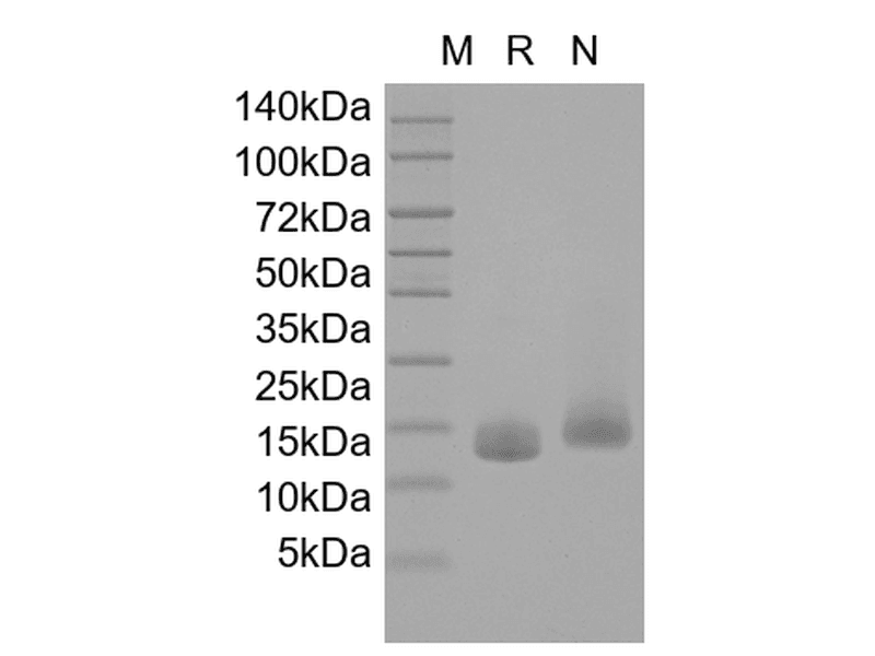 生物相关数据