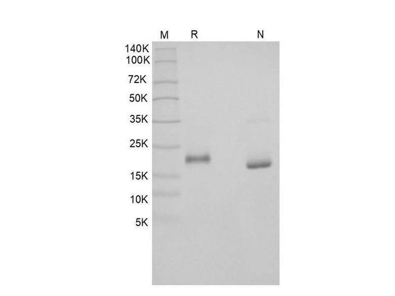 生物相关数据