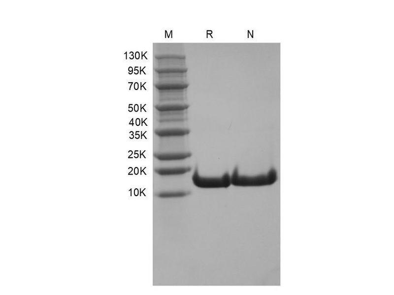 生物相关数据