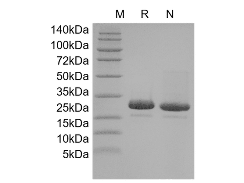 生物相关数据