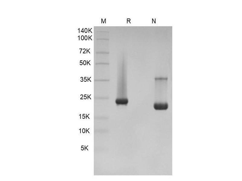 生物相关数据