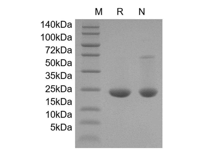 生物相关数据