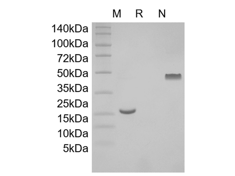 生物相关数据
