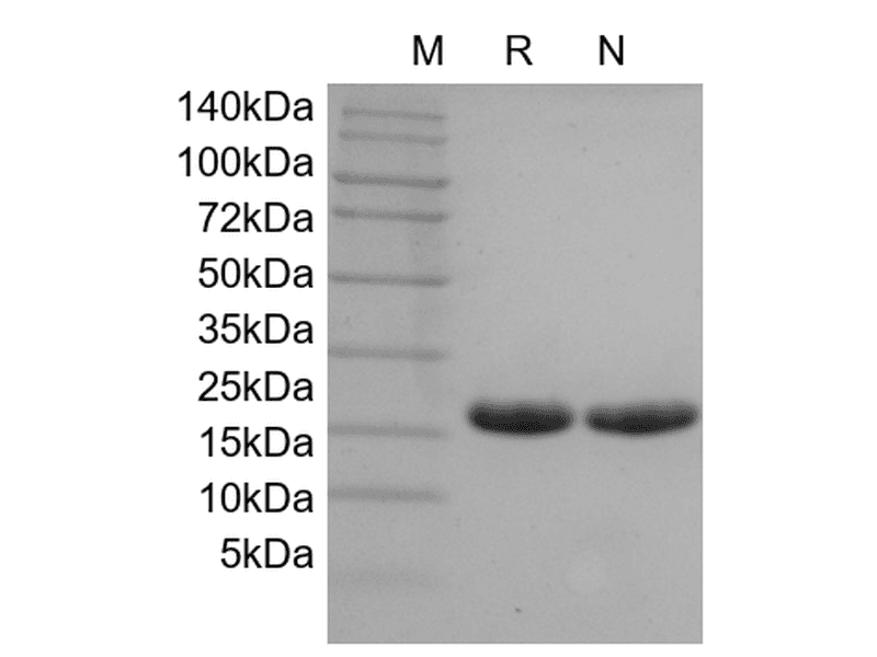 生物相关数据