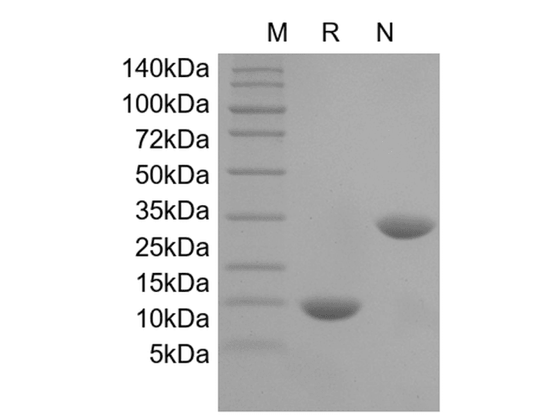 生物相关数据