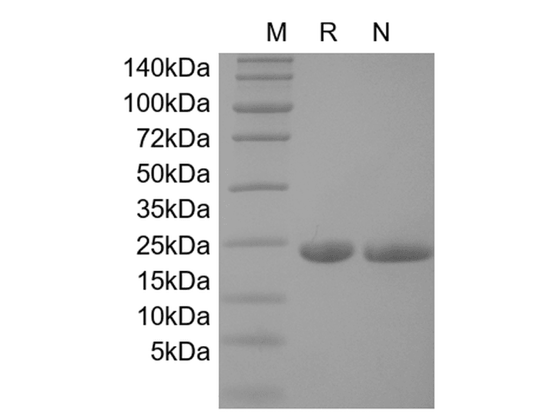 生物相关数据