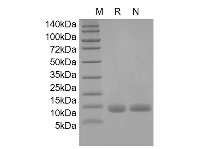 生物相关数据