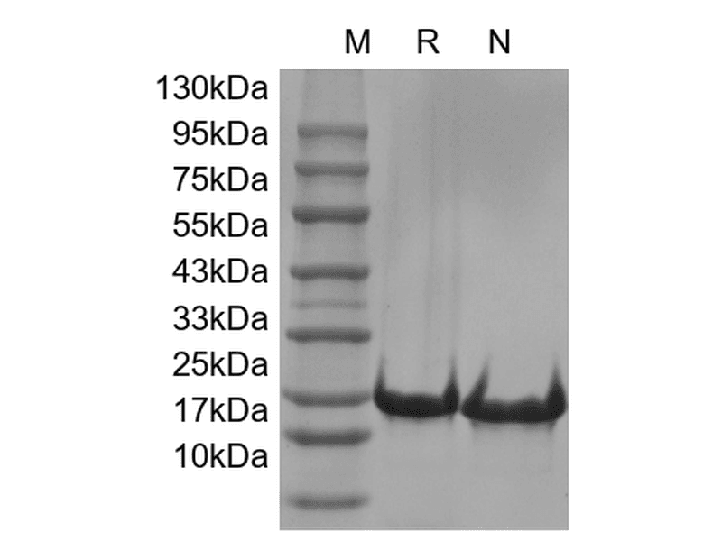 生物相关数据