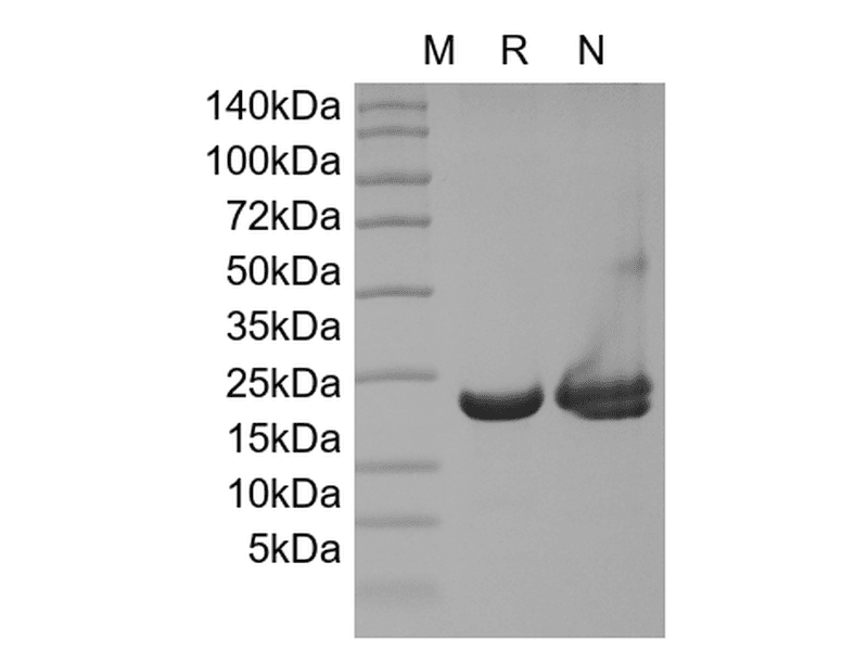 生物相关数据